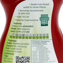 Artikel Chrysal Grünpflanzen & Palmen 500ml