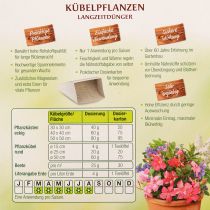 Artikel Chrysal Kübelpflanzen Langzeitdünger Mineraldünger 900g