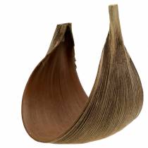 Artikel Kokospalmenblatt Galara gebogen