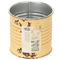 Artikel Deko Dose Sommer Apricot Metalldose Pflanztopf Ø8cm H7,5cm