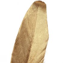 Artikel Deko Federn Gold Weihnachtsdeko Federn 15-20cm 12 St