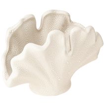 Artikel Deko Muschel Vase Mini Keramikvase Creme 14×7,5×9,5cm