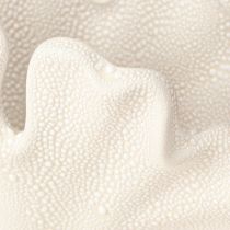 Artikel Deko Muschel Vase Mini Keramikvase Creme 14×7,5×9,5cm