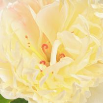 Artikel Deko Pfingstrosen Kunstblumen Gelbe Blüte L64cm 2St