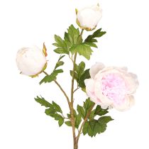 Artikel Deko Pfingstrosen Rosa 3 Blüten Langstielig L80cm 2St