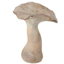 Artikel Deko Pilz Steinguss Herbstdeko Grau gewaschen 19×15cm H23cm