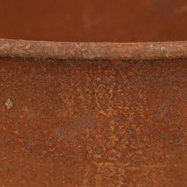 Artikel Deko Schale mit Fuß Pokalschale Rost Metall Ø20,5cm 2St