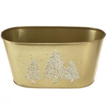 Artikel Deko Schale oval Tannenbaum Übertopf Gold 24×13×12,5cm