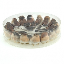 Artikel Dekovögel 9cm am Draht 16 St