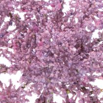 Artikel Seidenblume Dill Kunstpflanze für moderne Raumgestaltung 70cm