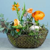 Artikel Drahtkorb mit Bügel Braun Metall 20/25/30cm 3er-Set