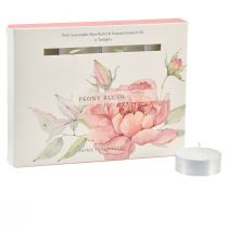 Artikel Duftkerzen Teelichter Pfingsrose Peony Blush Ø3,5cm 12 St