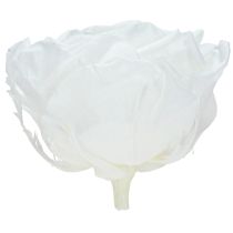 Artikel Echte Rosenköpfe Infinity Rosen Weiß Premium Ø8,5cm 4 St