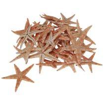 Artikel Echte junge Seesterne Maritime Tischdeko 3-4cm 100 St