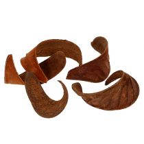 Artikel Elephant Ear Natur 25 St