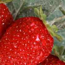 Artikel Erdbeer Deko Künstliche Erdbeeren L23cm 1 Bund 6St