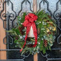 Artikel Eukalyptus Konserviert Zweige Blätter Grün Oval 150g