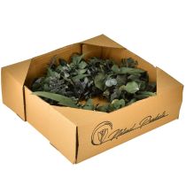 Artikel Eukalyptus Naturkranz Ø35cm konserviert Duftdeko