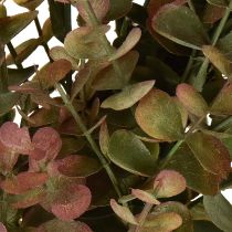 Artikel Eukalyptuskranz künstlich Herbstdeko Eukalyptus Ø36cm