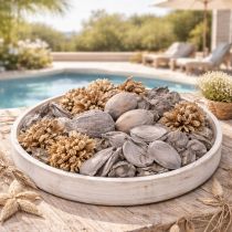 Artikel Potpourri Tischdeko mit Schalenfrüchten für natürliche Sommeratmosphäre