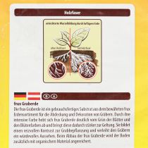 Artikel FRUX Erde Graberde  (10 Ltr.)