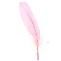 Artikel Federn zum Basteln Rosa Gänsefedern 18cm – 20cm 20g x 2St