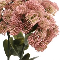 Artikel Fetthenne Rosa Sedum Mauerpfeffer Kunstblumen H48cm 4St
