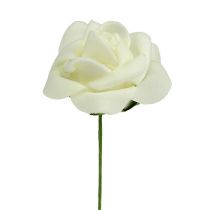 Artikel Foam Rose Ø4,5cm Creme 36 St