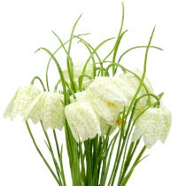 Artikel Schachbrettblumen Fritillaria künstlich Weiß, Grün 40cm 12 St