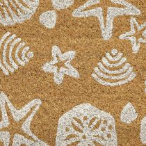 Artikel Fußmatte Muscheln Seesterne Fußabtreter Kokos 58×38cm