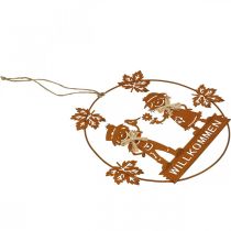 Artikel Willkommensschild Dekohänger Edelrost Herbstdeko Ø22cm 2St