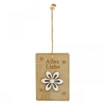 Artikel Anhänger Holz Schild mit Spruch Frühlingsdeko 8×12cm 8 St