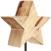 Artikel Holzstern Natur mit Stab Sockel Stern Deko 20x9,5x50cm