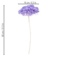 Artikel Trockenblume Hortensie zur eleganten Raumgestaltung und Dekoration 80cm
