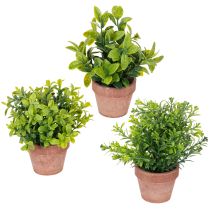 Artikel Kunstpflanze im Blumentopf mit realistischer Textur für Innenräume und Dekoration 18cm 3St