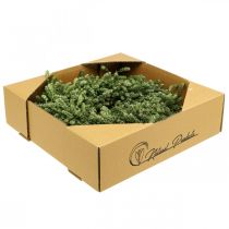 Artikel Weihnachtskranz Grün Trockenblumenkranz Leinenkraut Ø34cm