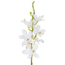 Artikel Künstliche Orchideen Weiße Blüte Ø3,5–5cm L38cm 2St
