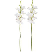 Artikel Künstliche Orchideen Weiße Blüte Ø3,5–5cm L38cm 2St