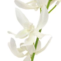 Artikel Künstliche Orchideen Zweig creme weiße Blüten L90cm 2St