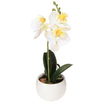 Artikel Künstliche Orchideen im Topf Weiß Mini Orchideen Ø7cm H22cm