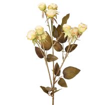Artikel Künstliche Rosen verwelkt Drylook 9 Blüten Creme 69cm