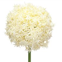 Artikel Künstlicher Allium Creme Weiß Zierlauch Ø18cm L90cm