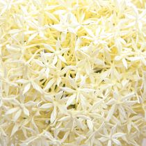 Artikel Künstlicher Allium Creme Weiß Zierlauch Ø18cm L90cm