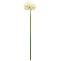Artikel Künstlicher Allium Creme Weiß Zierlauch Ø18cm L90cm