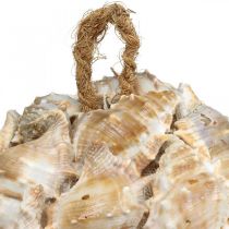 Artikel Deko Kugel Schneckenhäuser Muscheln Deko hängend Natur Ø12cm