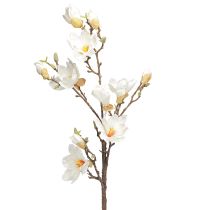 Artikel Kunstblume Magnolienzweig Blüten Ø2–10cm Creme L105cm