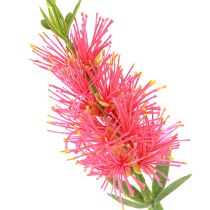 Artikel Künstliche Blumen Rot Karminrote Zylinderputzer 70cm 3St