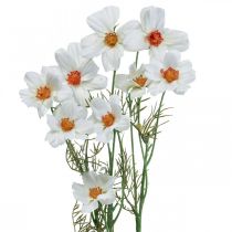 Artikel Kunstblumen Cosmea Weiß Seidenblumen H51cm 3 St