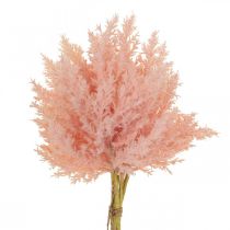 Artikel Kunstpflanze Astilbe Deko Zweige Künstlich Rosa H38cm 5 St