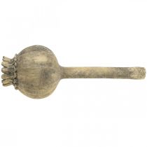 Artikel Kunststein Deko Mohnblume Antik Deko Braun Ø13cm L37,5cm
